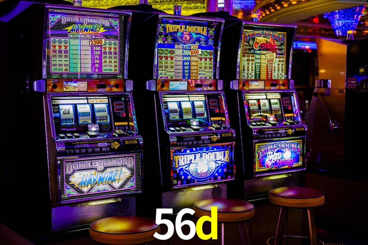 Experiência VIP 56d